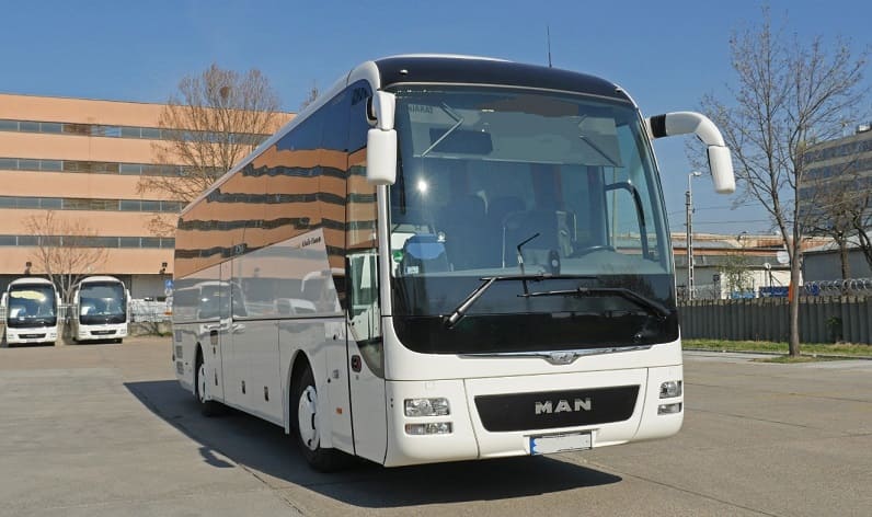 Schaffhausen: Buses operator in Neuhausen am Rheinfall in Neuhausen am Rheinfall and Switzerland