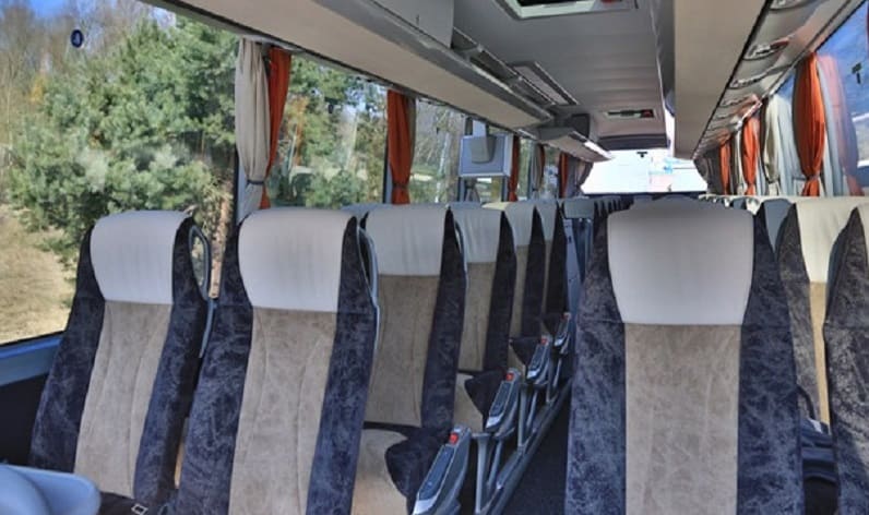 Germany: Coach charter in Baden-Württemberg in Baden-Württemberg and Friedrichshafen